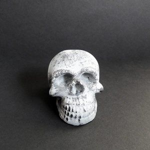 CONCRETE/Stone SKULL Decor Paperweight